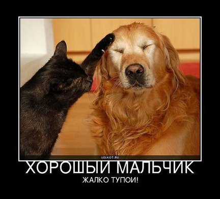 Весёлые картинки №2699