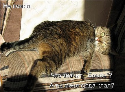 Весёлые картинки №2700