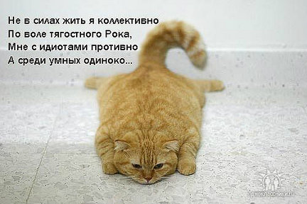 Весёлые картинки №2702