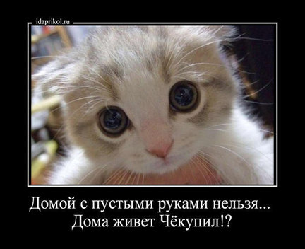 Весёлые картинки №2726