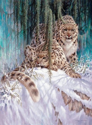 Львы, тигры, леопарды (собираем картинки) №3442