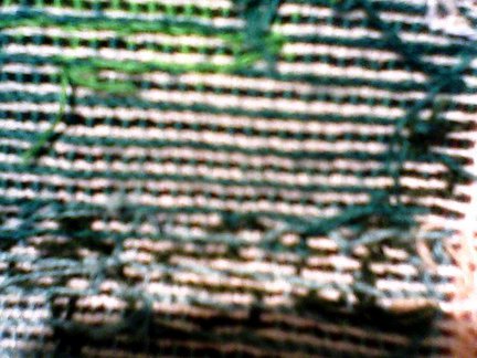 Моя идеальная изнанка №3674