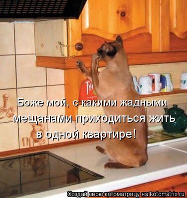 Весёлые картинки №4768