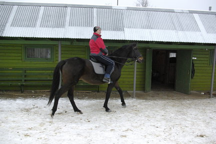 Домашние животные №6030