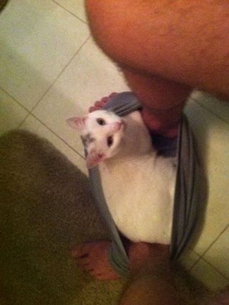 Весёлые картинки №7038