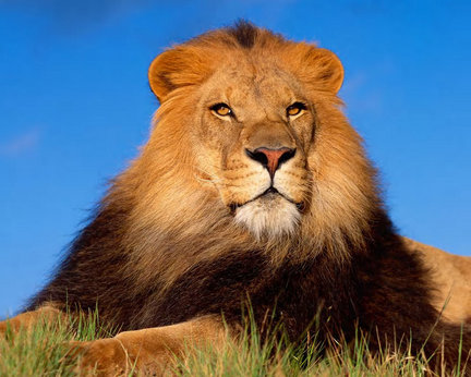 Помогите со схемой по фото №8832