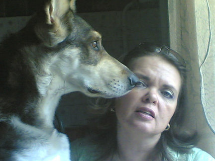 Наши домашние любимчики №8988