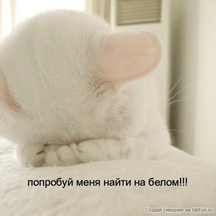 Весёлые картинки №9391