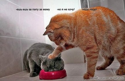 Весёлые картинки №9782