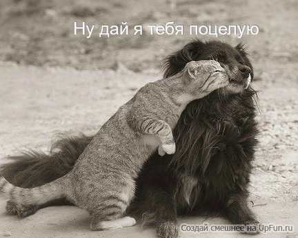 Весёлые картинки №9783