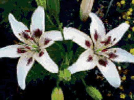 Работы, отшитые по схемам с этого сайта №11051