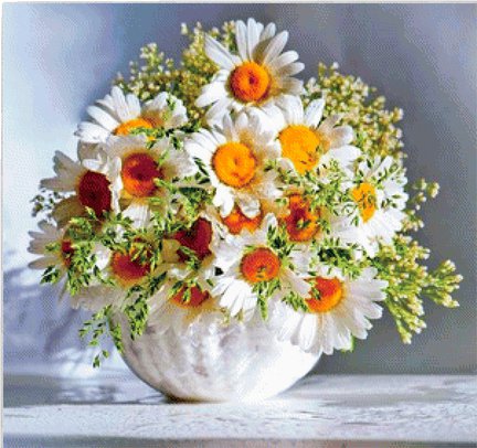 Создание схемы в Stitch Art Easy! 4.0. Пошаговая инструкция. №11458