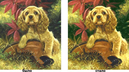 Еще немного фотошопинга - обработка изображения до создания схем №12456