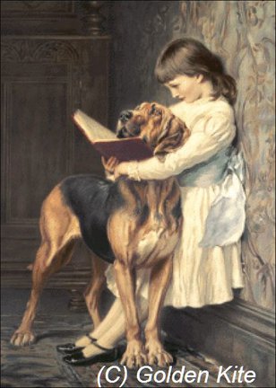 Производители сложных схем: Golden Kite и другие №13071