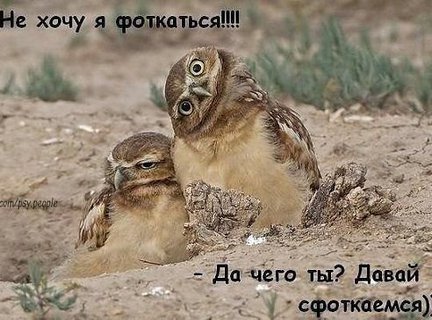 А давайте общаться на «ты» №14500