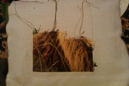 Процесс «Лев» №15708