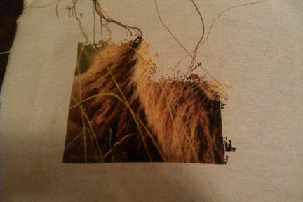 Процесс «Лев» №15709