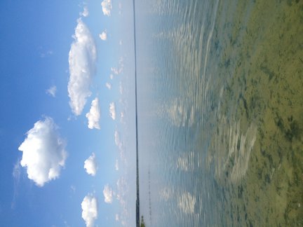 How I spend my summer holidays 2013 №16269