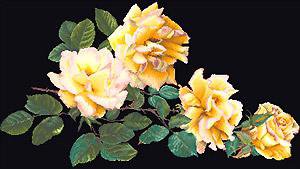 Дизайнеры эскизов №17415