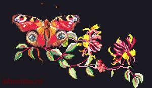 Дизайнеры эскизов №17416