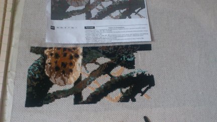 Гепард на ветке №17429