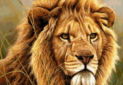 Процесс «Лев» №18422