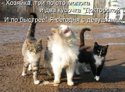 Весёлые картинки №19052