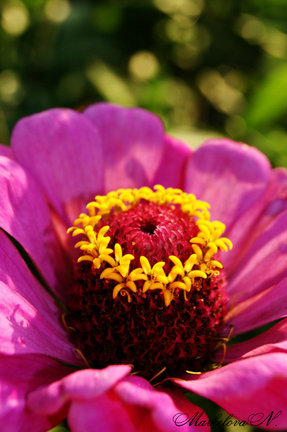 Кто каким рукоделием увлекается кроме вышивки? №19128