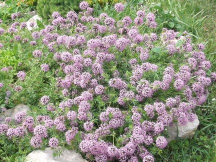 Кто каким рукоделием увлекается кроме вышивки? №19131