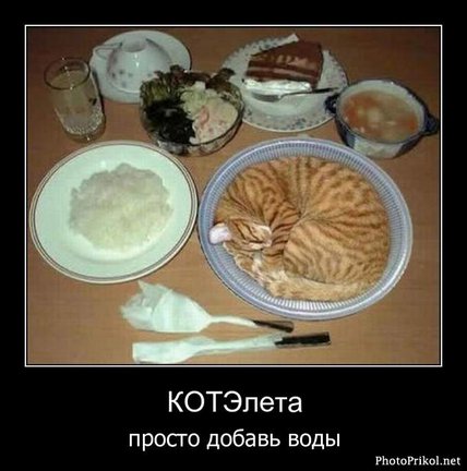 Весёлые картинки №21087