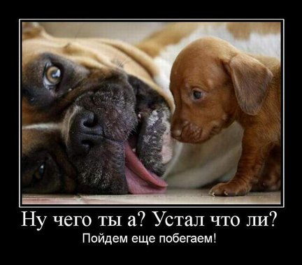 Весёлые картинки №21090