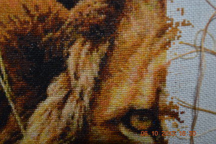 Процесс «Лев» №21332