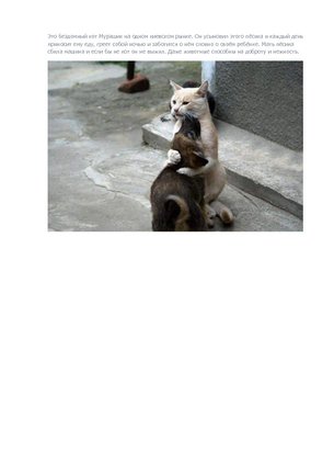 Домашние животные №21489