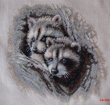 Предлагаю авантюру. Гамма-ДМС. №21651