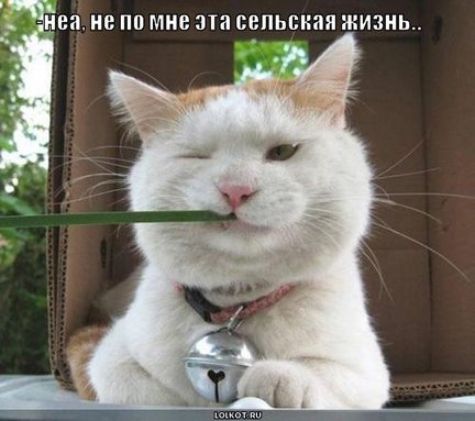 Весёлые картинки №22076