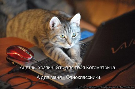 Весёлые картинки №22079