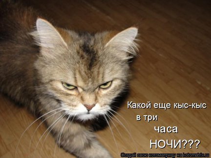 Весёлые картинки №22081