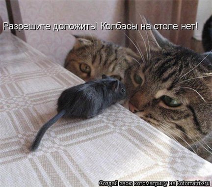 Весёлые картинки №22087