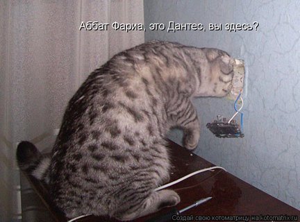 Весёлые картинки №22089