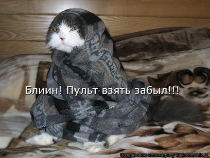 Весёлые картинки №22213