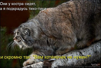 Весёлые картинки №22223