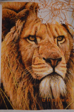 Процесс «Лев» №24552