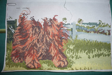 Собака №25313