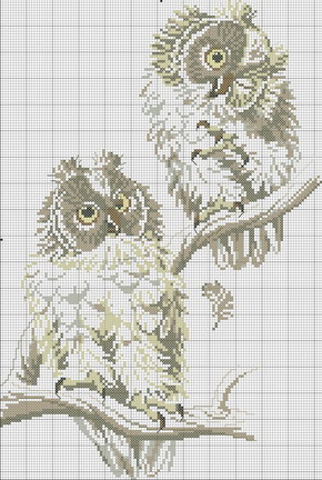 Как лучше? №25497