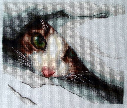 Google картинки №25558