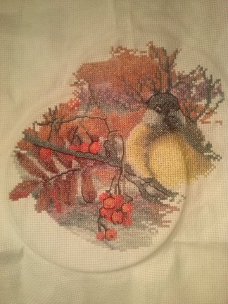 Морозный вечер №26583