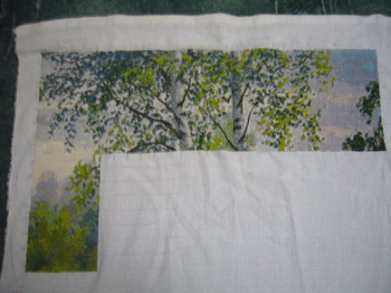 Березы №26806