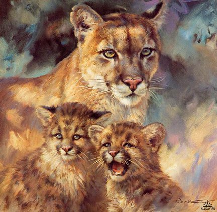 Львы, тигры, леопарды (собираем картинки) №27491