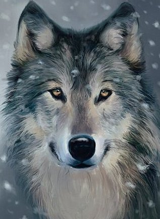 Волки (собираем картинки) №27852