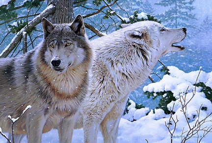Волки (собираем картинки) №27902